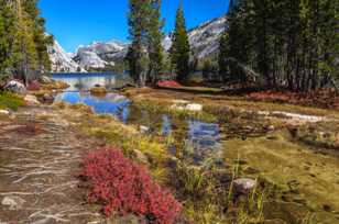 Shore of Tenaya Lake-4834.jpg